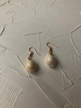Small seashell earrings - Icegoldbyvee