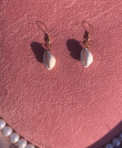 Small seashell earrings