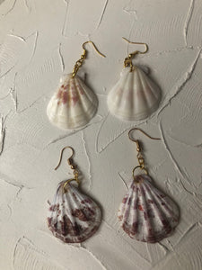 Seashell earrings - Icegoldbyvee