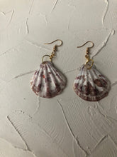 Seashell earrings - Icegoldbyvee