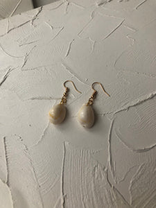 Small seashell earrings - Icegoldbyvee