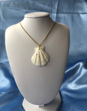 Seashell necklace