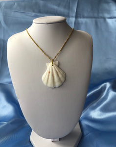 Seashell necklace