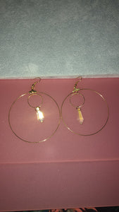 Crystal drop round earrings - Icegoldbyvee