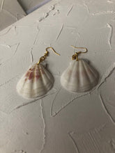 Seashell earrings - Icegoldbyvee