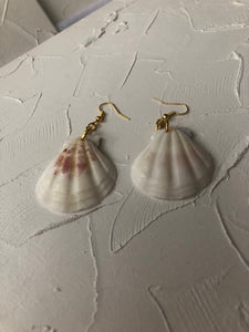 Seashell earrings - Icegoldbyvee