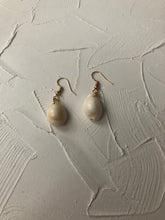 Small seashell earrings - Icegoldbyvee