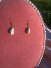 Small seashell earrings