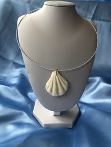 Seashell necklace