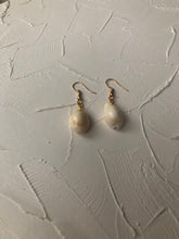 Small seashell earrings - Icegoldbyvee