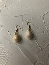 Small seashell earrings - Icegoldbyvee