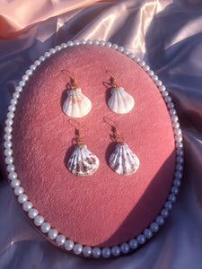 Seashell earrings