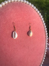 Small seashell earrings