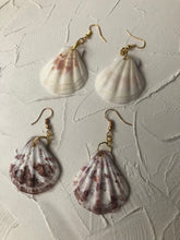 Seashell earrings - Icegoldbyvee